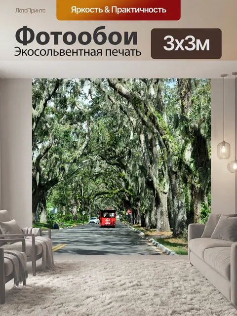 Фотообои Магнолия-авеню