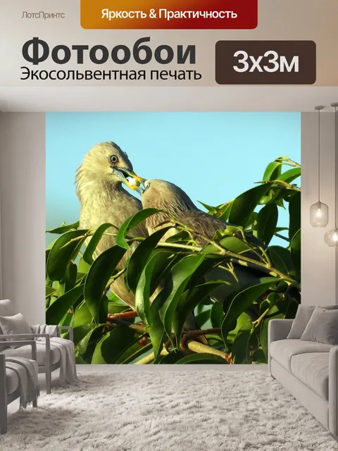 Фотообои Птица