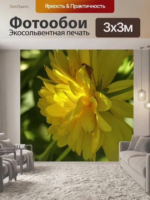 Фотообои Георгин