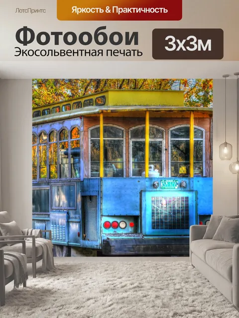 Фотообои Старая канатная дорога