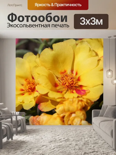 Фотообои Моховая роза