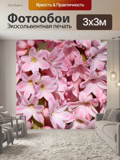 Фотообои Розовые гиацинтовые лепестки крупным пла