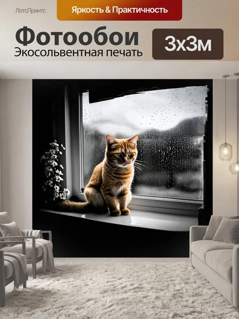 Фотообои рыжий кот, сидящий на подоконнике с цветами, поэтапно наблюдающий за каплями дождя, стекающими по стеклу
