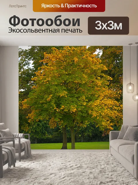 Фотообои Дерево осенью