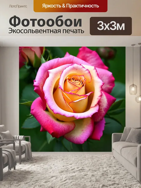 Фотообои розы в стиле неоромантизм, крупный план роз с детализированными лепестками и текстурой