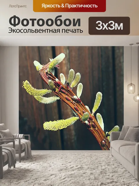 Фотообои Котята