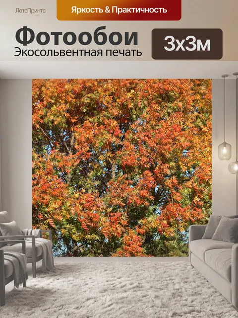 Фотообои Осенний лист фона