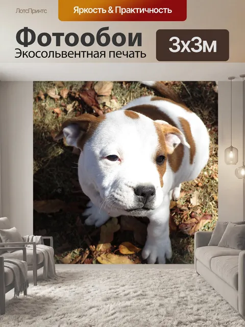 Фотообои Щенок