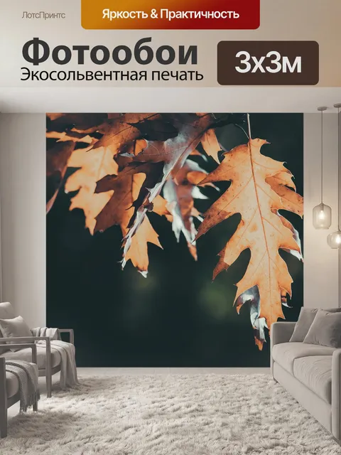 Фотообои Осенние листья