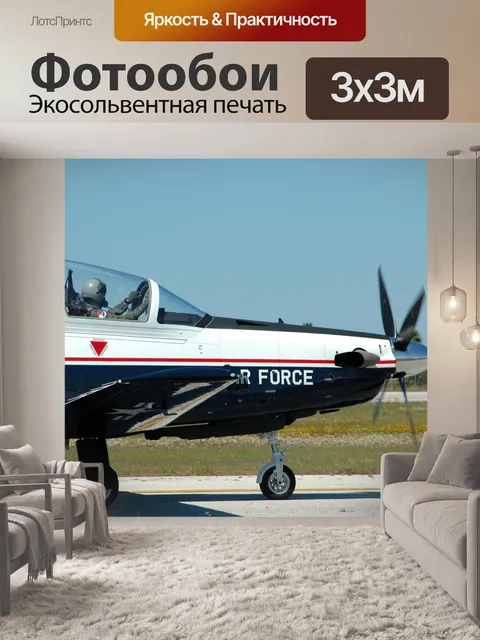 Фотообои Самолет на авиашоу