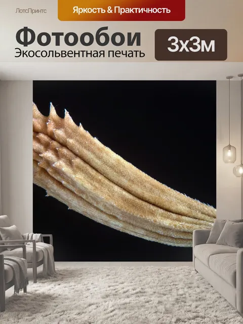 Фотообои Природа