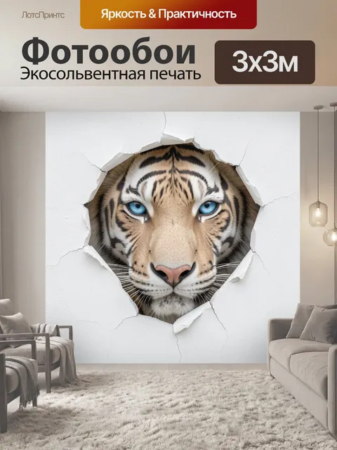 300 × 300 см · Экосольвентная печать
