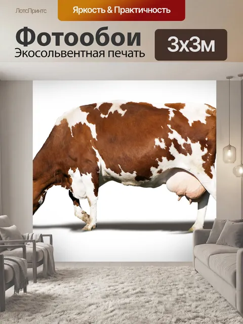 Фотообои Корова, сельскохозяйственное животное, м