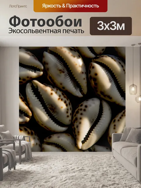 Фотообои Ракушки в качестве фона
