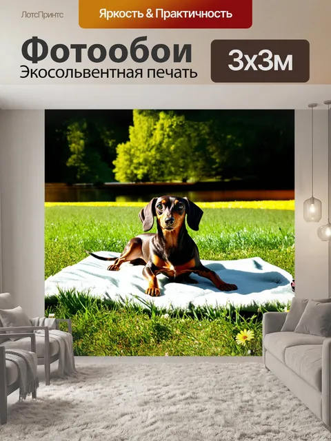 Фотообои в балансе солнечного света и теней, такса лежит на расстеленном на траве пледе, окруженная цветами