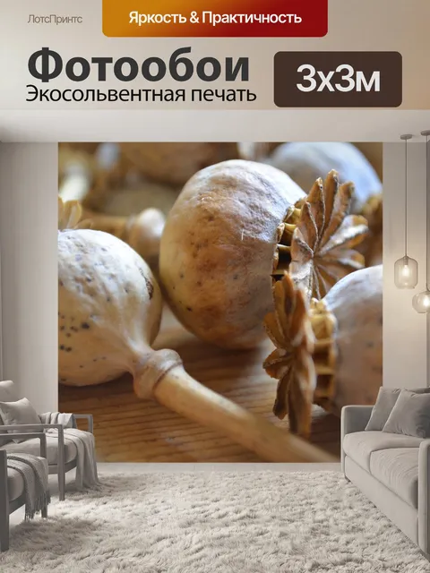 Фотообои Маки сушеные