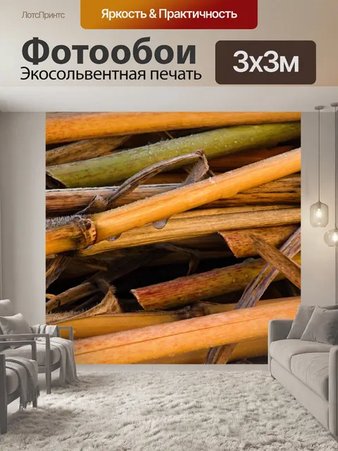 Фотообои Стебли