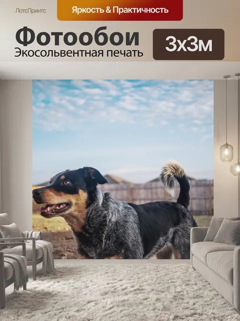 Фотообои Собака