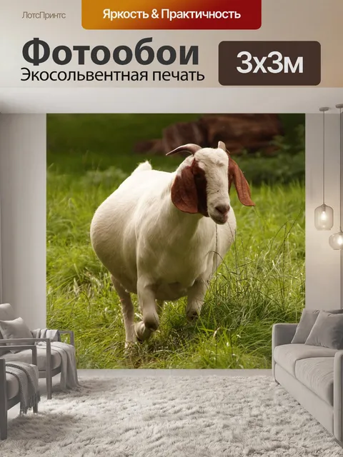 Фотообои Коза пастбище домашнее животное милый