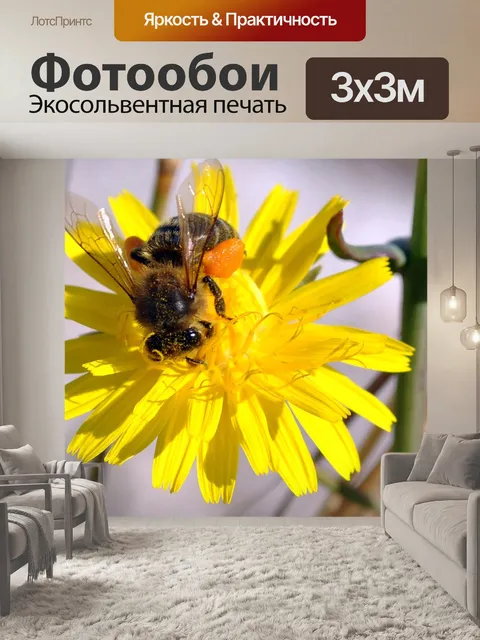 Фотообои Пчела