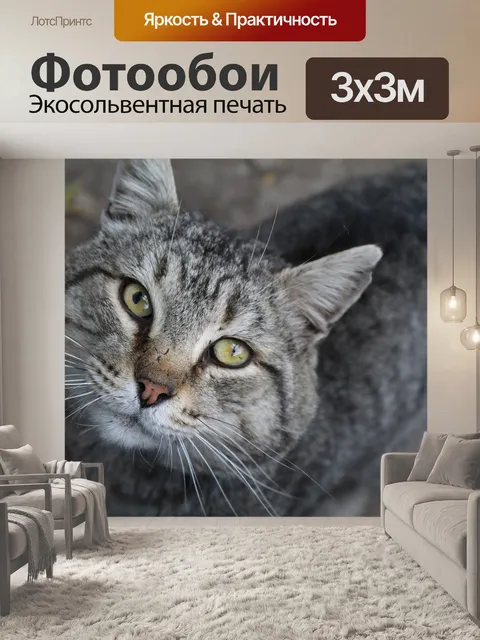 Фотообои Кошка