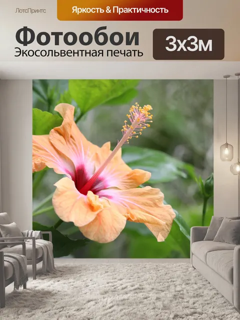 Фотообои Гибискус