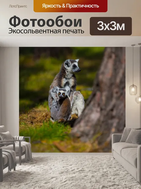 Фотообои Кошачий лемур