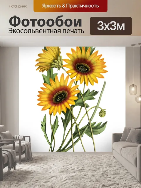 Фотообои Подсолнечник Рисованный Арт Клипарт