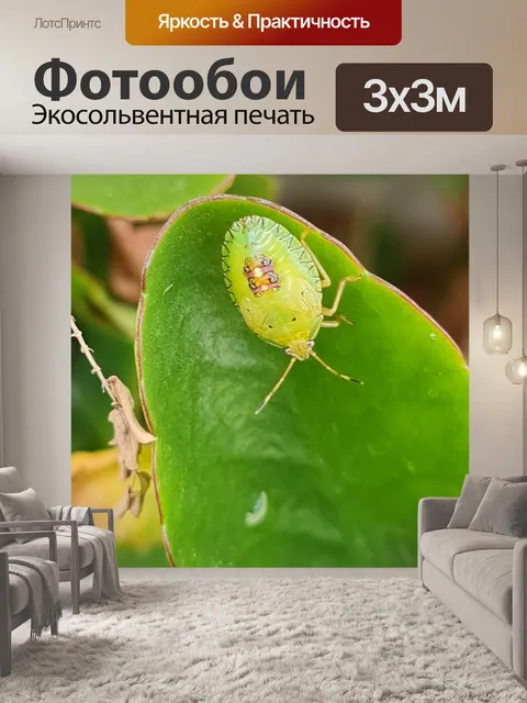 Фотообои Вонючая мэри