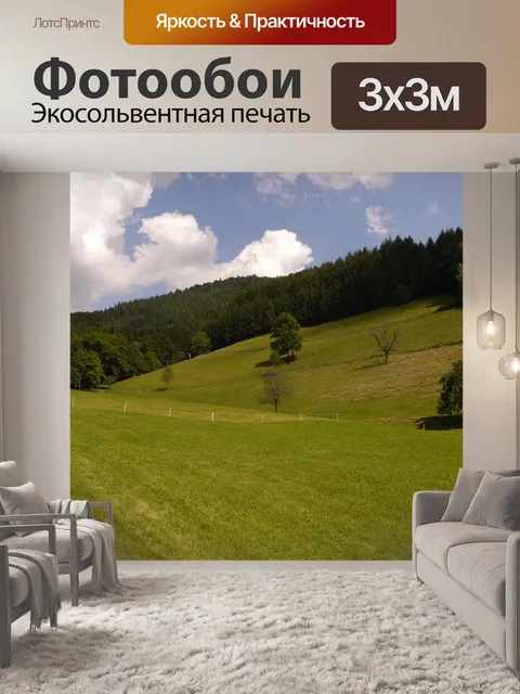 Фотообои Черный лес