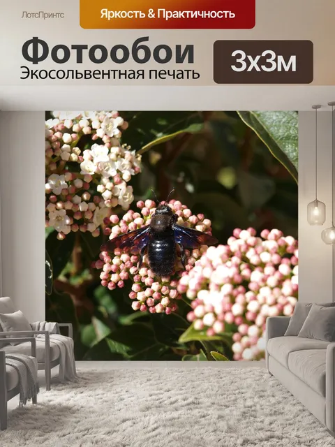 Фотообои Насекомое