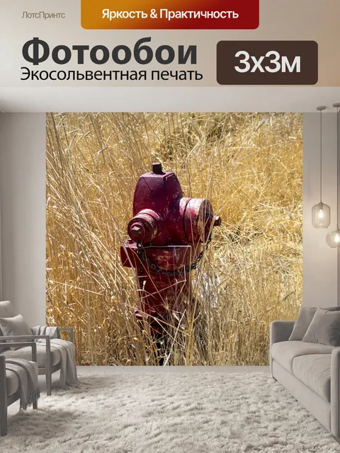 Фотообои пожарный кран