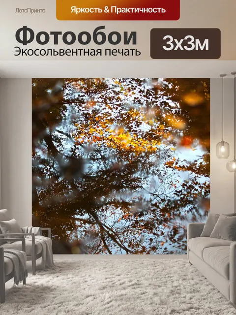 Фотообои Лужа