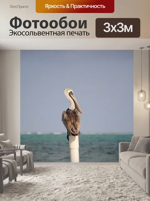 Фотообои Пеликан