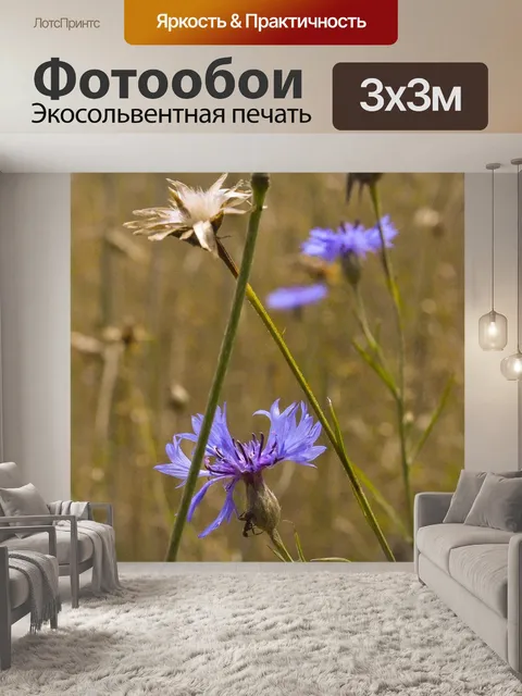 Фотообои Поле
