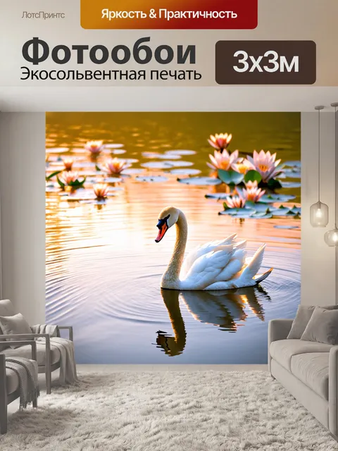Фотообои лебедь на озере в лучах заката
