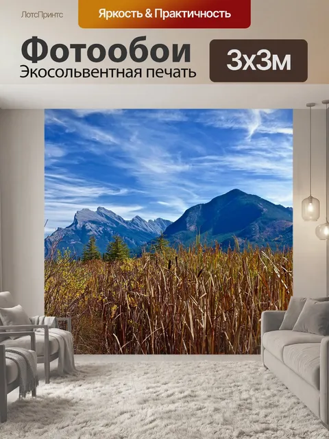 Фотообои Трава