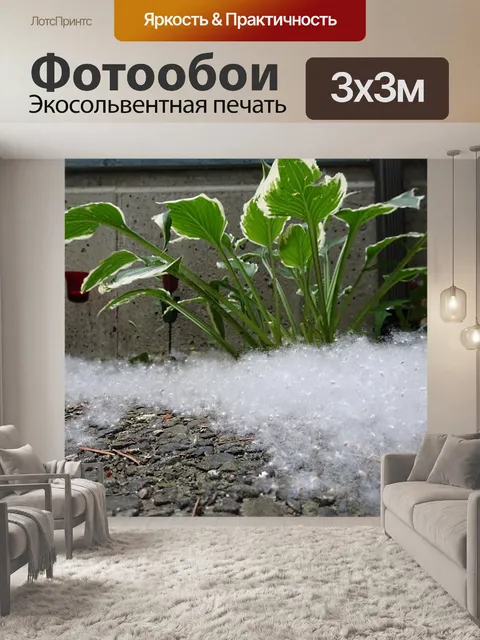 Фотообои Семена деревьев