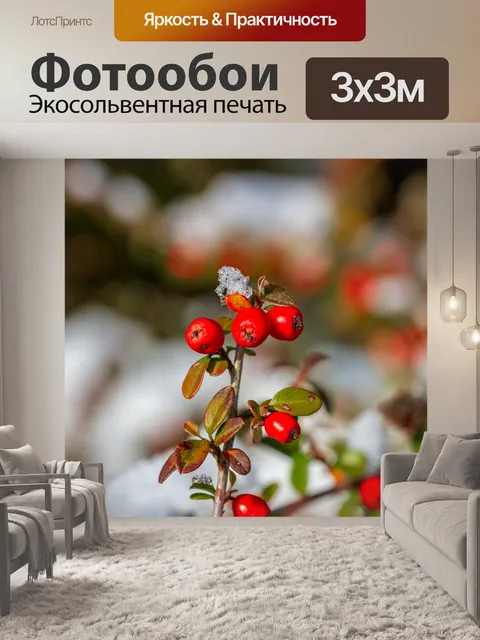 Фотообои Ягода