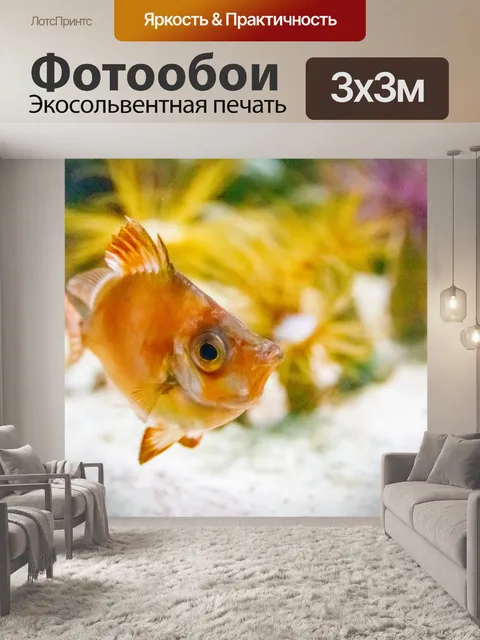 Фотообои Кабан