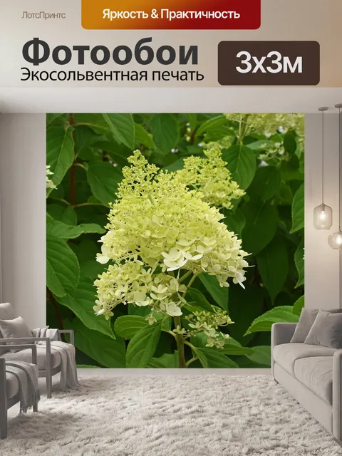 Фотообои Желтый гортензия
