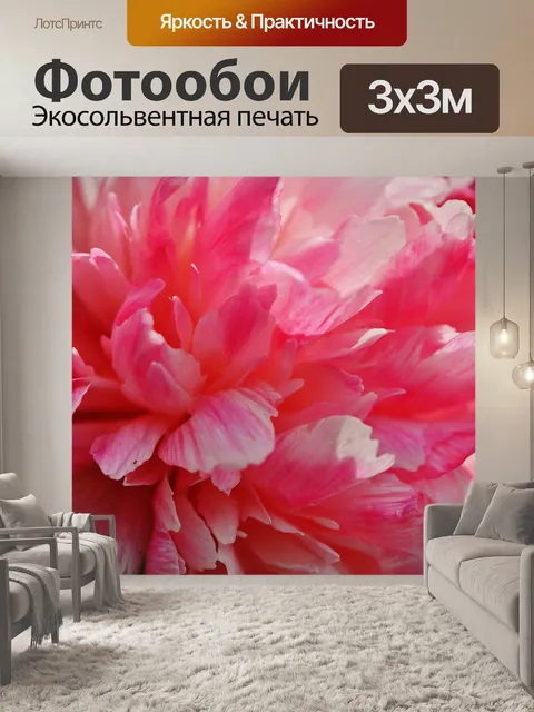 Фотообои Пион