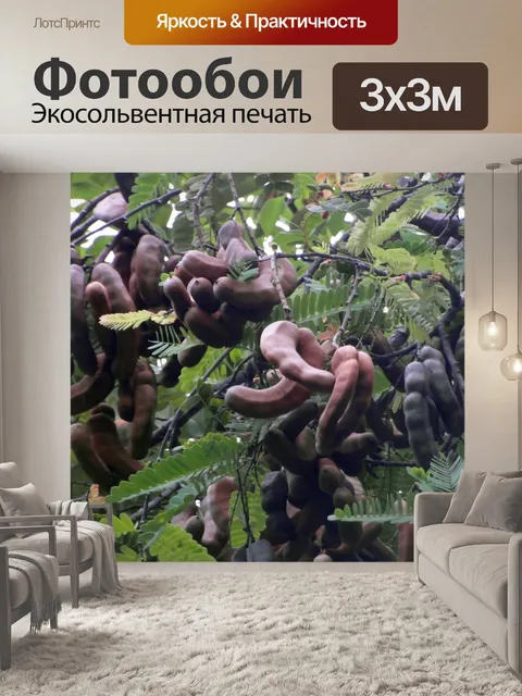 Фотообои Тамаринд Фрукты Дерево