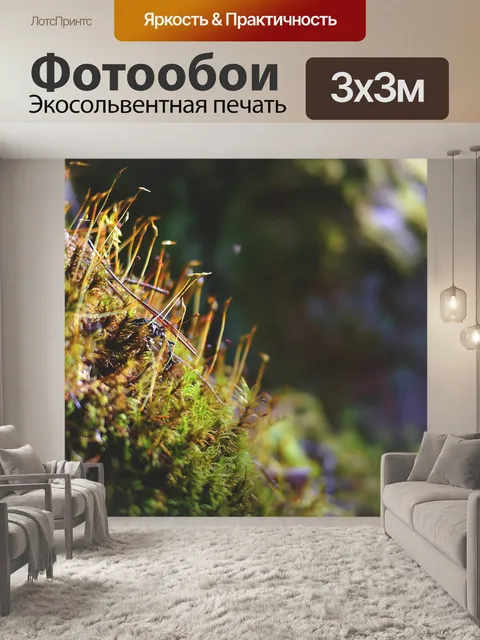 Фотообои Мох