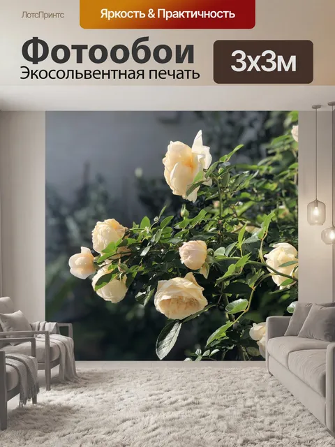 Фотообои Роза