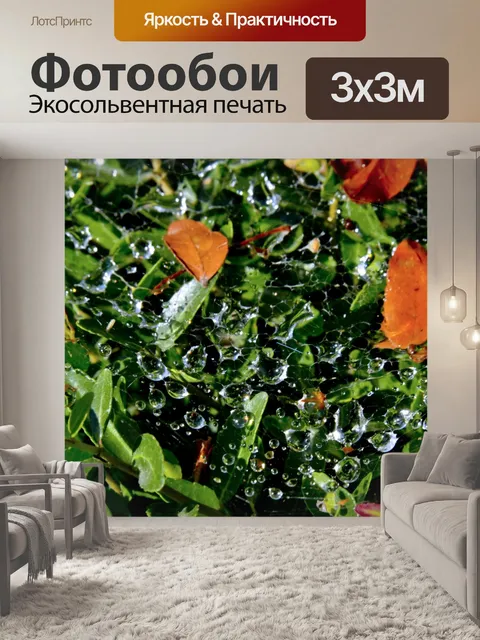 Фотообои Кристалл воды и оранжевые листья