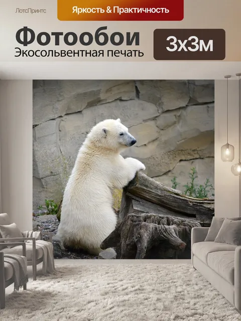 Фотообои Icebear