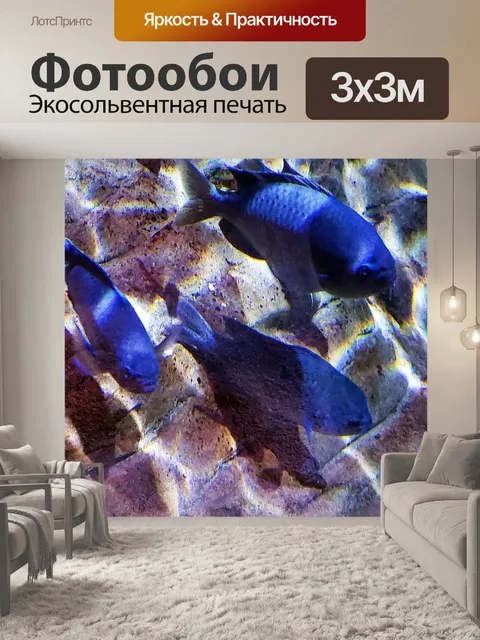 Фотообои голубая рыба
