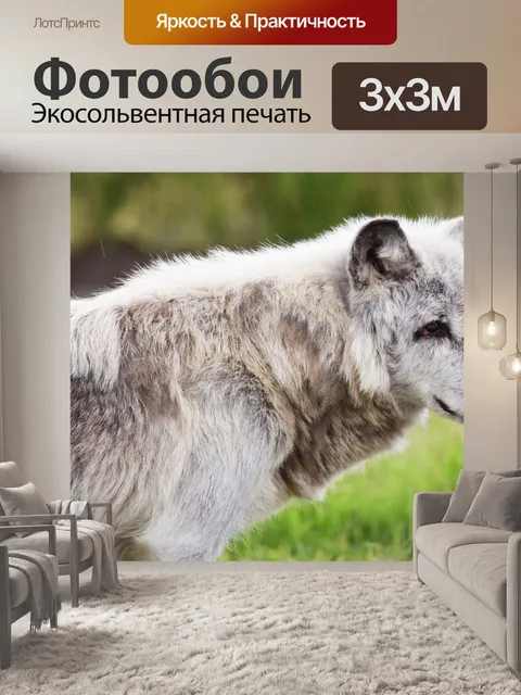 Фотообои Канадский лесной волк