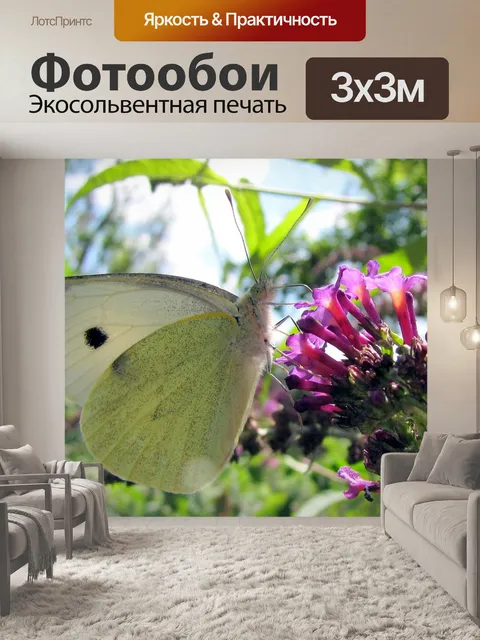 Фотообои Белый